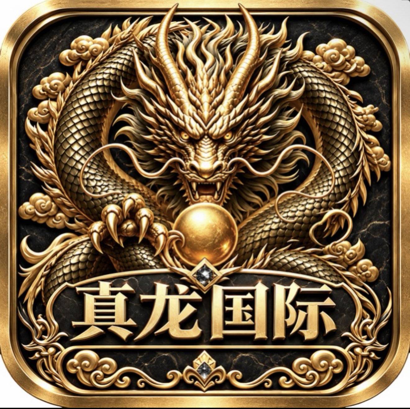 真龙国际